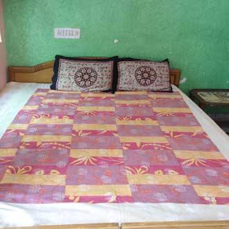Lake Star Hotel, Udaipur 5